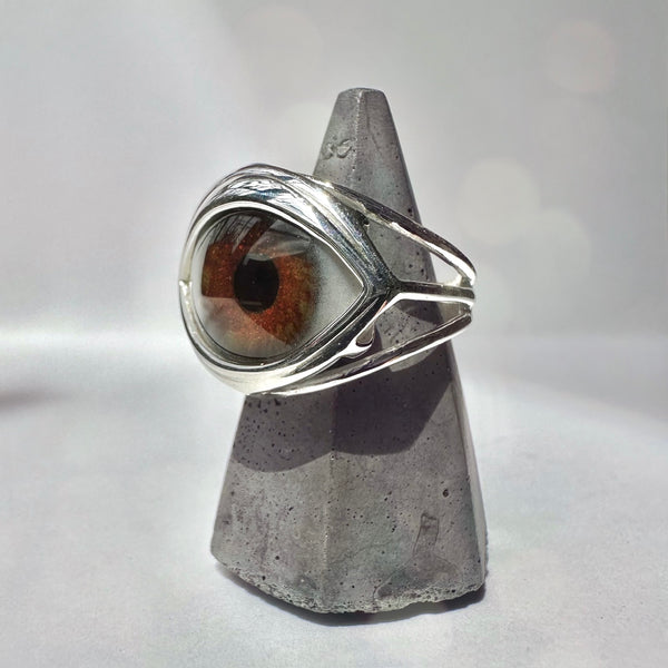 Hand Painted brown Silver Skeleton Eye Ring