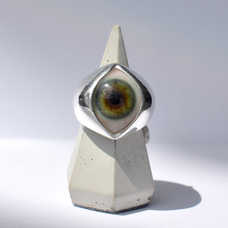 Hand Painted Hazel Green King Eye Ring