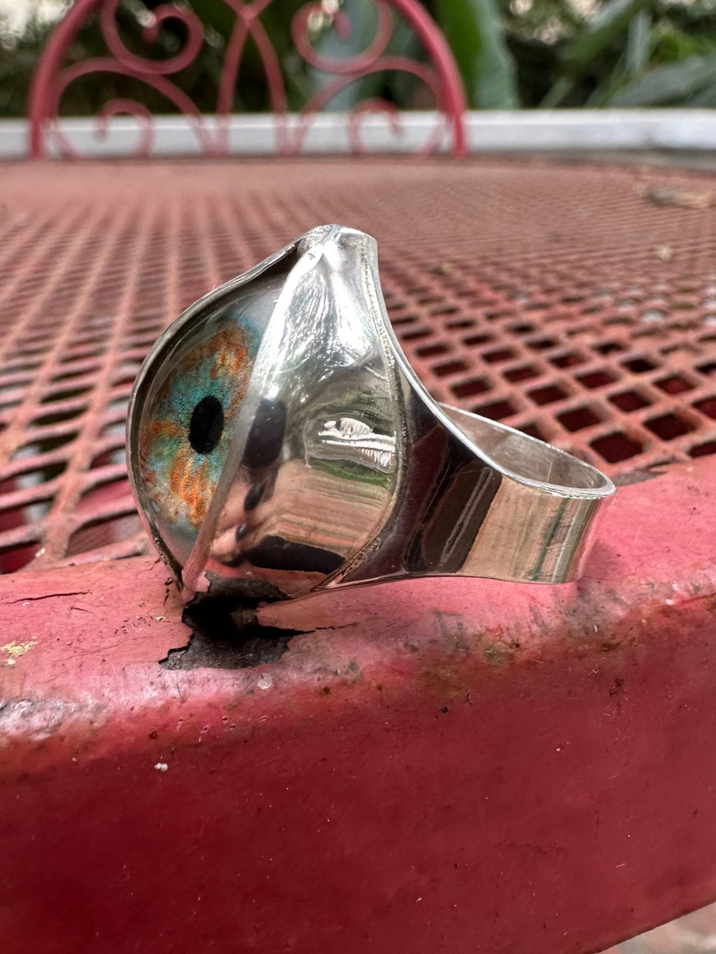 Handmade Hand Painted Eye Ring - sz 10.5