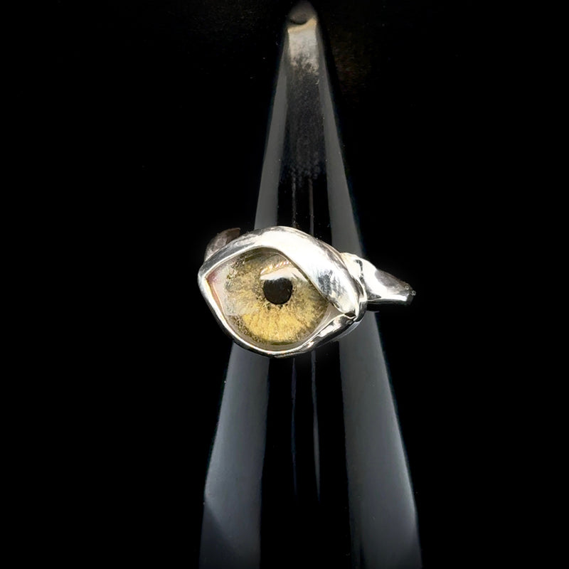 Eyeba x Anaïs and Alaïa Ring sz 7