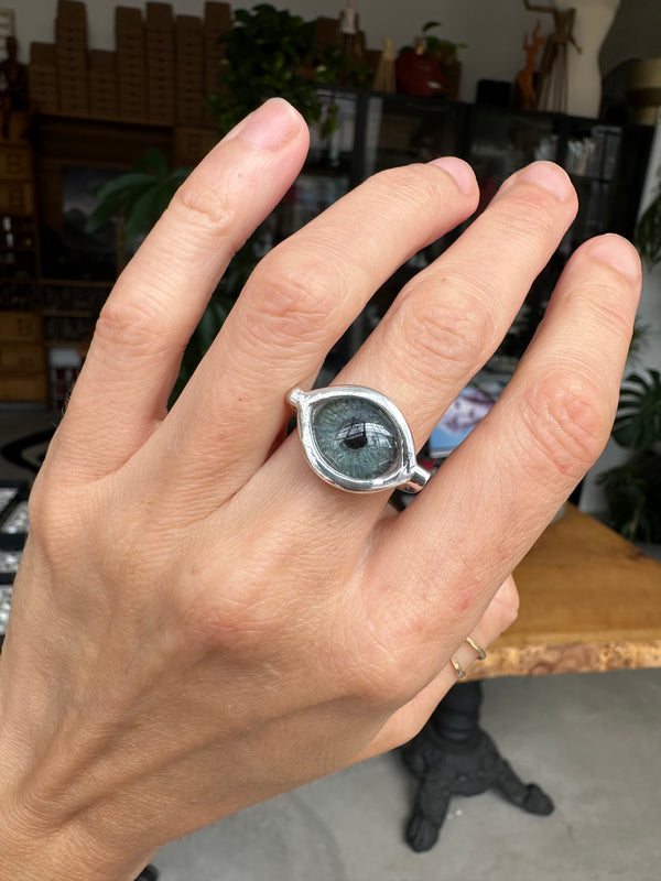 Sample Sale - Hand Painted Silver Eye Ring