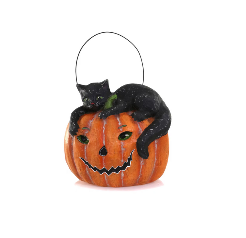 Lazy black Cat and Jack