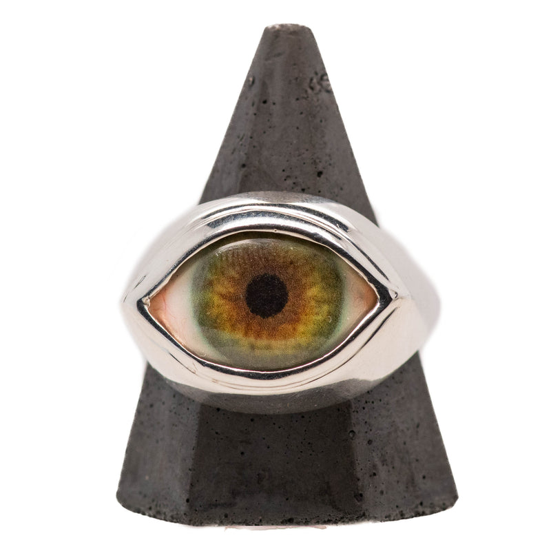 Hand Painted Hazel Silver Classic Eye Ring