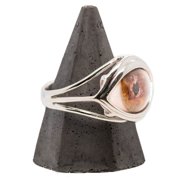 Hand Painted Brown Silver Skeleton Eye Ring