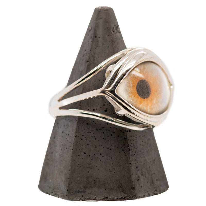 Hand Painted Hazel Silver Skeleton Eye Ring