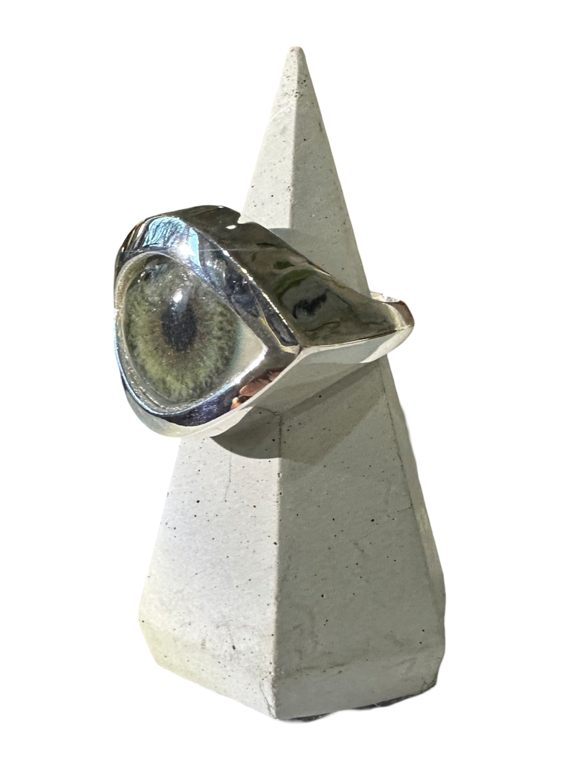 Hand Painted green gray Silver Eye Ring