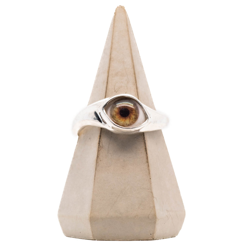 Dark Hazel Mini Silver Twist Eye Ring