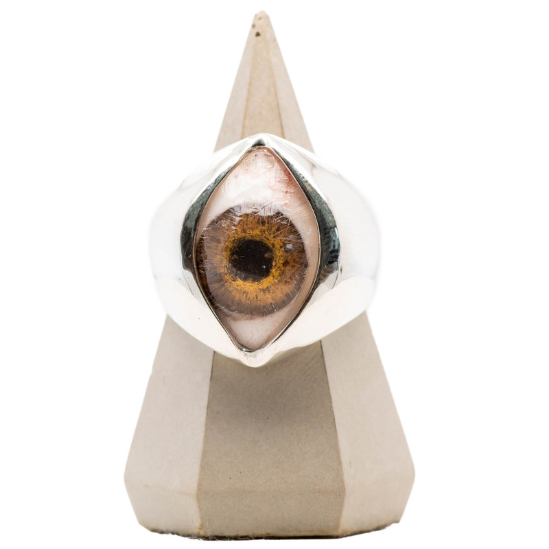 Hand Painted Brown Silver King Eye Ring